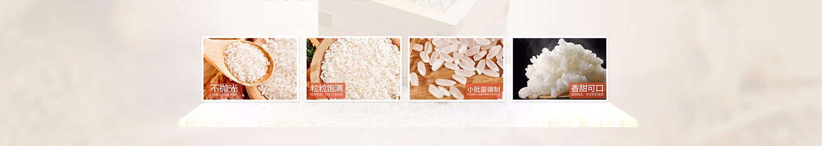 南阳市某某玩具培训中心